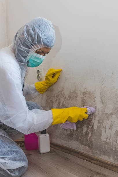 Best Industrial Mold Remediation  in Clancy, MT