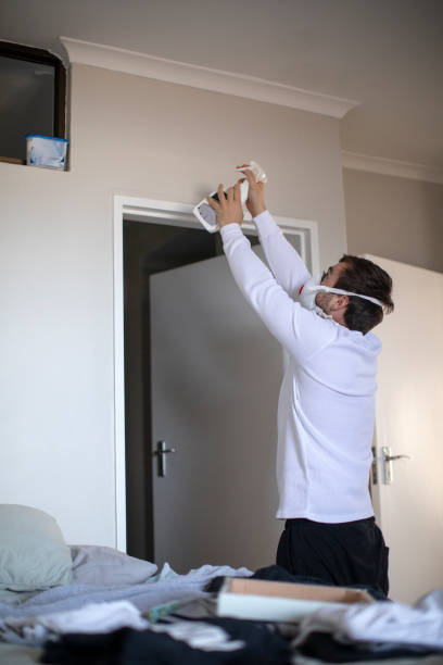 Best Dehumidification Services  in Clancy, MT