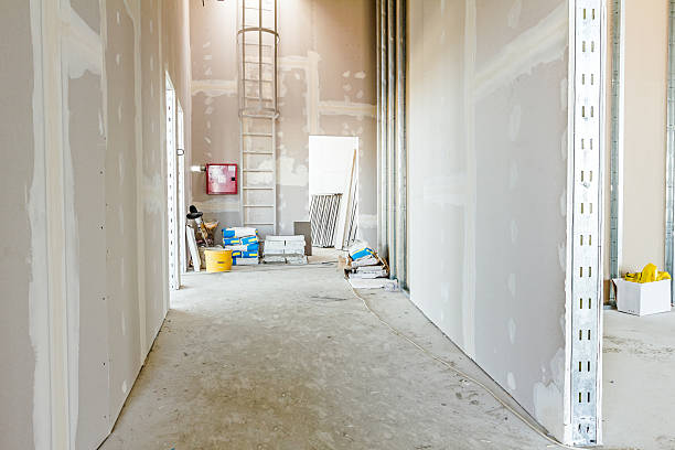 Best Water Damage & Mold Remediation  in Clancy, MT